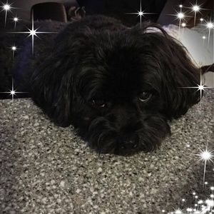 Meet your Posher, Janice